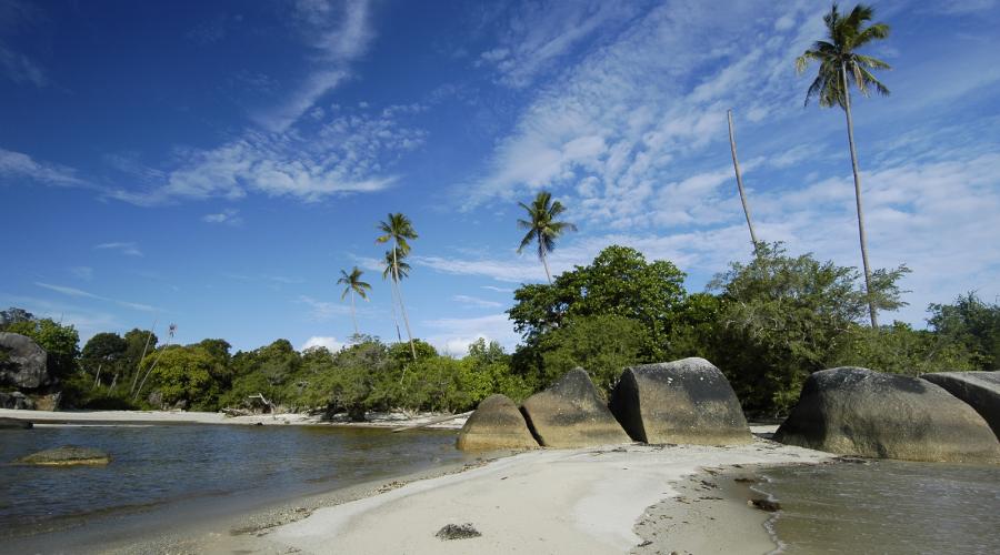Liburan ke pulau Belitung selama ini dikenal sebagai destinasi favorit yang menawarkan keindahan pantai berpasir putih, batu granit besar yang ikonik, dan pemandangan alam yang memukau. Namun, di era new normal seperti saat ini, berwisata tentu harus dilakukan dengan tetap memperhatikan protokol kesehatan agar liburan tetap menyenangkan dan aman.