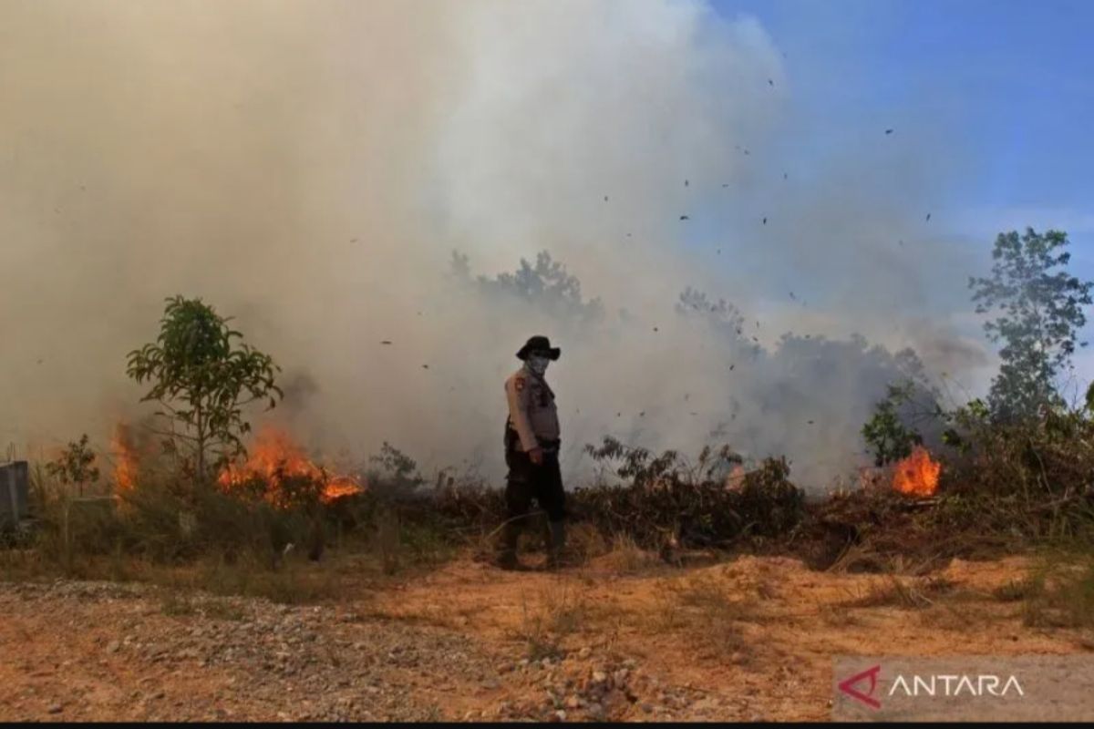 Dalam beberapa minggu terakhir, kabar mengenai kebakaran hutan dan lahan di Provinsi Riau semakin menjadi perhatian. Berdasarkan data terbaru dari Badan Penanggulangan Bencana Daerah (BPBD) dan Balai Pengendalian Kebakaran Hutan dan Lahan (BPKHL), luas lahan yang terbakar di kawasan ini mencapai lebih dari 818 hektare.