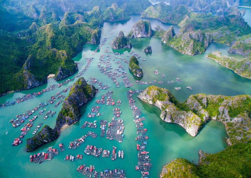 Vietnam semakin populer sebagai destinasi wisata favorit di Asia Tenggara. Dengan keindahan alam, budaya yang kaya, dan harga yang terjangkau, negara ini menawarkan pengalaman tak terlupakan bagi wisatawan. Berikut beberapa tujuan wisata di Vietnam yang sedang viral dan wajib dikunjungi: